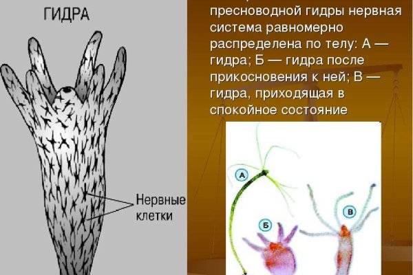 Кракен москва наркотики